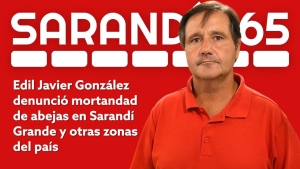 Edil Javier Gonz&aacute;lez alert&oacute; por mortandad masiva de abejas que afecta a apicultores de Sarand&iacute; Grande y otros puntos