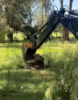 Entregar&aacute;n gratis le&ntilde;a producto de la limpieza de Parque de Sarand&iacute; Grande