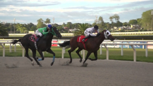Jockey Pablo Joaqu&iacute;n Menyou de Sarand&iacute; Grande gan&oacute; premio Cl&aacute;sico Per&uacute; en Hip&oacute;dromo Maro&ntilde;as