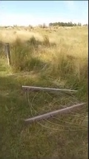Reportan reiterados destrozos en alambrado de la pista de ra&iacute;d h&iacute;pico en Parque Tom&aacute;s Berreta de Sarand&iacute; Grande