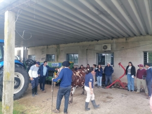 Alumnos de Escuela Agraria de Sarand&iacute; Grande visitaron Escuela Agraria de Durazno y adquirieron conocimientos pr&aacute;cticos sobre manejo de raza Normando