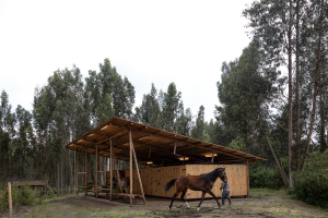 Severas restricciones a caballerizas en nuevo Plan Local de OT en Sarand&iacute; Grande