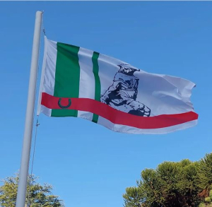 Junta Departamental de Florida oficializ&oacute; anoche la bandera de Sarand&iacute; Grande