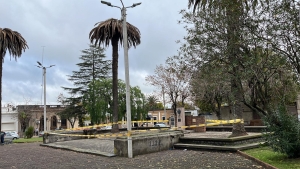 Se&ntilde;alizaron &aacute;reas de riesgo por ca&iacute;da de ramas de palmeras afectadas por picudo rojo en Sarand&iacute; Grande