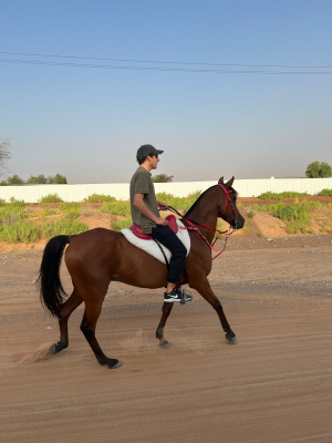 Joven jinete de Sarand&iacute; Grande lleg&oacute; a Emiratos &Aacute;rabes Unidos y comenz&oacute; entrenamientos