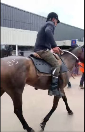 Jinete del Club Deportivo de Sarand&iacute; Grande gan&oacute; el Ra&iacute;d en Cerro Chato