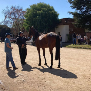 Don Celestino, Mono Pancho y El Baby representar&aacute;n a CS 12 de Octubre de Sarand&iacute; Grande en ra&iacute;d en San Ram&oacute;n
