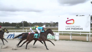 Jockey oriundo de Sarand&iacute; Grande logr&oacute; ayer una nueva victoria en Hip&oacute;dromo de las Piedras