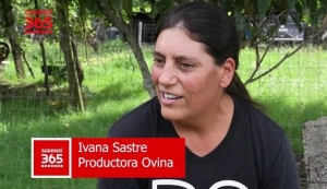 Esfuerzo y dedicaci&oacute;n de productora ovina consolid&oacute; emprendimiento con m&aacute;s de 130 animales cerca de Sarand&iacute; Grande