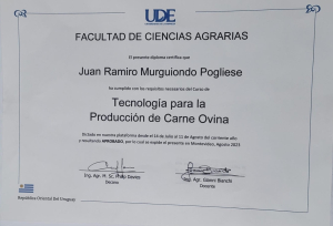 Primer experto en Tecnolog&iacute;a para Producci&oacute;n de Carne Ovina de Florida es un emprendedor de Sarand&iacute; Grande