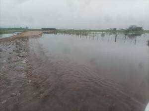 Alertan que Arroyo Sarand&iacute; est&aacute; fuera de cauce en Camino al Obelisco cerca de Sarand&iacute; Grande