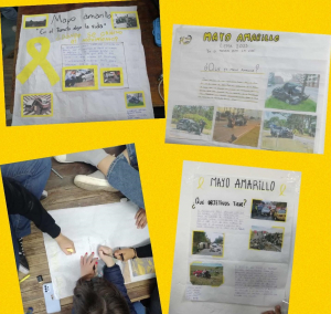 Alumnos del Liceo Faustino Harrison realizaron trabajos sobre campa&ntilde;a de seguridad vial