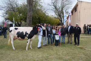 Caba&ntilde;a El Grillo de Sarand&iacute; Grande se destac&oacute; con mejores vacas en 76&ordf; Exposici&oacute;n de Reproductores Holando