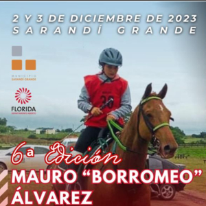 Postergaron enduro por razones de salud equina en Sarand&iacute; Grande