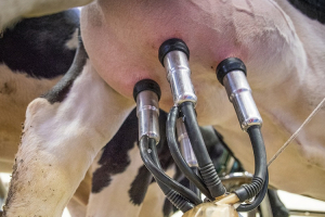 Financiaci&oacute;n especial de facturas de UTE para productores rurales