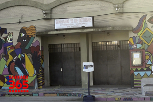 Casi 40 canes fueron castrados en &uacute;ltima jornada en Sarand&iacute; Grande