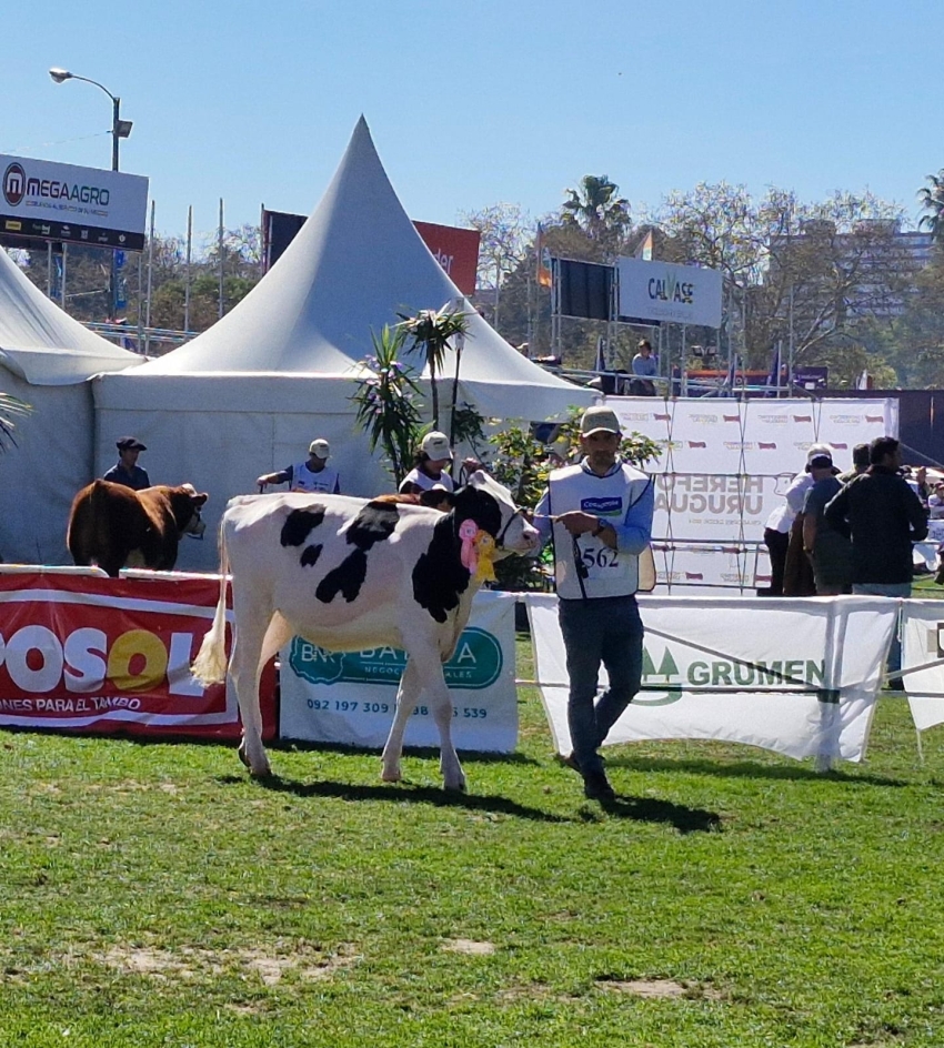 Cabaña &quot;El Grillo&quot; de Sarandí Grande logró dos premios en Exposición Rural del Prado
