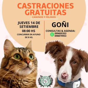 Agendan a caninos y felinos para castraciones gratuitas ma&ntilde;ana en Go&ntilde;i