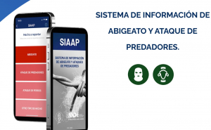 Invitan a registrar abigeatos y ataques de predadores a ovinos desde el celular