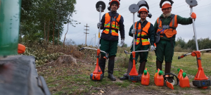 Recuperar&aacute;n el Parque Tom&aacute;s Berreta mediante limpieza de especies invasoras en Sarand&iacute; Grande