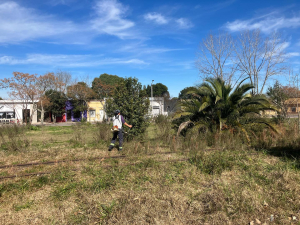 Mantenimiento de espacios verdes frente al Gimnasio Municipal realiz&oacute; el Municipio de Sarand&iacute; Grande