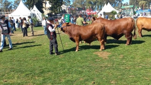 Caba&ntilde;a "Nuevos Rumbos" fue premiada en la Exposici&oacute;n Rural del Prado