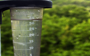Sarand&iacute; Grande registr&oacute; el m&aacute;ximo departamental de lluvias ca&iacute;das con 53 mm