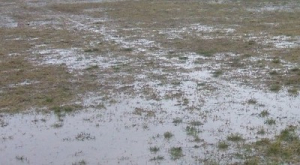 Se suspendi&oacute; el F&uacute;tbol Infantil del s&aacute;bado