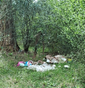 Comisi&oacute;n de Salud y Medioambiente de la Junta relev&oacute; carencias en Parque de Sarand&iacute; Grande para proponer plan de recuperaci&oacute;n