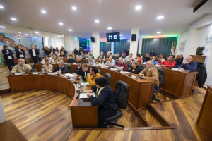 Aprobaron proyecto de prohibici&oacute;n de pirotecnia sonora con apoyo de vecinos de Sarand&iacute; Grande