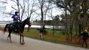 Emocionante final ofreci&oacute; el Ra&iacute;d del Club Residentes y en Sarand&iacute; 365 la compartimos