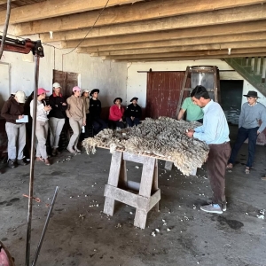Estudiantes de Escuela Agraria de Sarand&iacute; Grande participaron de jornada pr&aacute;ctica sobre manejo ovino y esquila