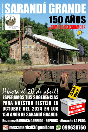 Lanzaron una consulta p&uacute;blica para celebrar los 150 a&ntilde;os de Sarand&iacute; Grande