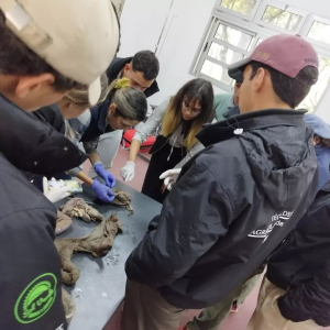 Charla sobre anatom&iacute;a de rumiantes en Escuela Agraria de Sarand&iacute; Grande