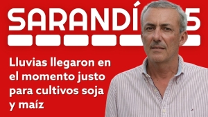 Las lluvias llegaron en el momento justo para cultivos de soja y ma&iacute;z, indic&oacute; el Ing. Agr. Gabriel Castiglioni