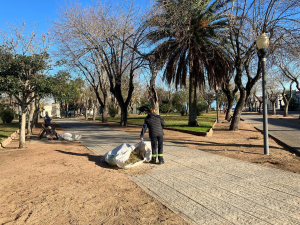 Limpieza y mantenimiento en calle 18 de Julio y Plaza Pis&oacute;n cumpli&oacute; hoy personal del Municipio de Sarand&iacute; Grande
