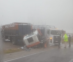 Cami&oacute;n que intentaba ingresar a planta de silos fue embestido por otro en Ruta 5